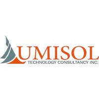 Lumisol Technology Consultancy
