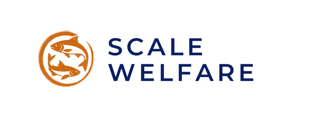 Scale Welfare