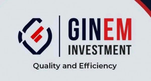 Ginem investment limited