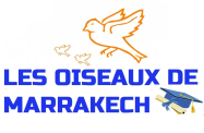 LES OISEAUX DE MARRAKECH