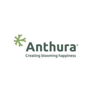 Anthura
