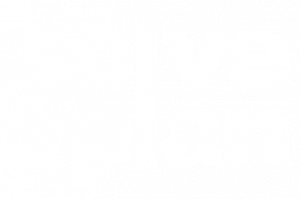SolvePlan