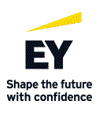 EY Corporate Solutions GmbH & Co. KG