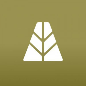 Agora