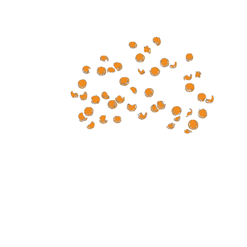 The Grove Bible Chapel Tampa
