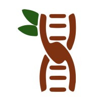 Tamarind Bio