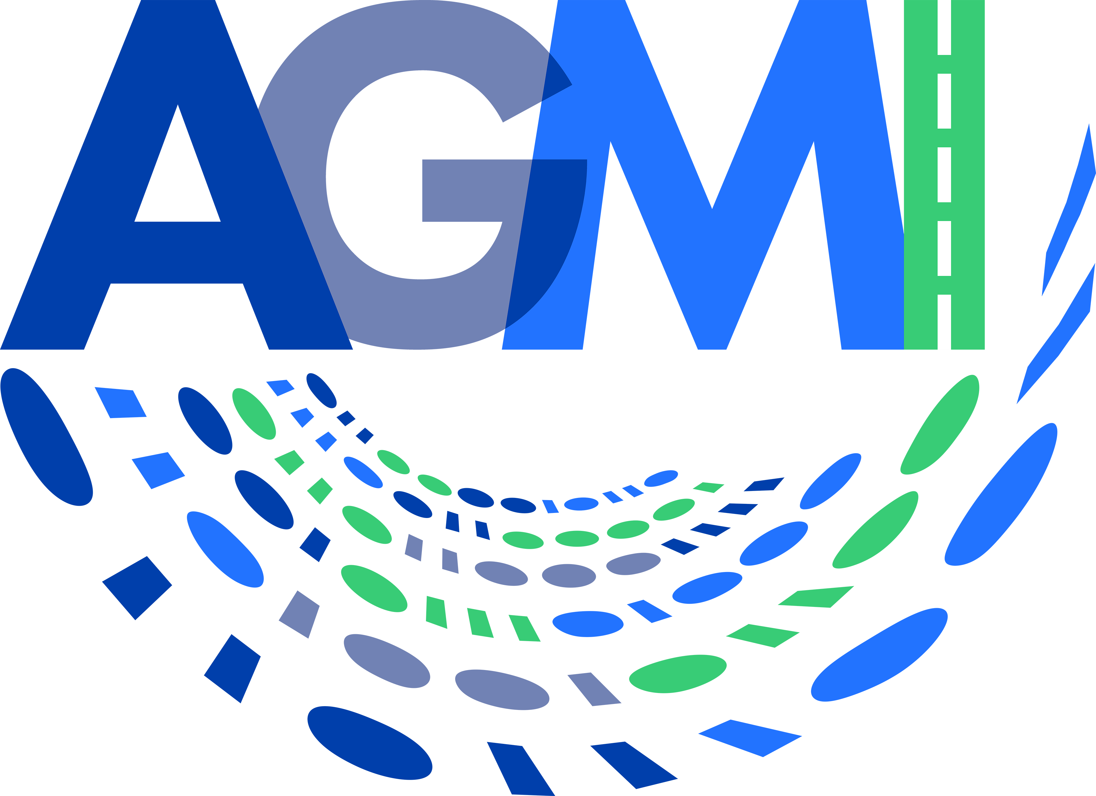 Anchor Group Mgmt