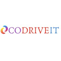 CoDriveIT Solutions