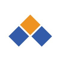 The Professional Group, Inc