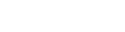 Cognisys