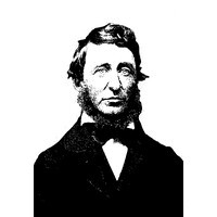 Thoreau Alliance