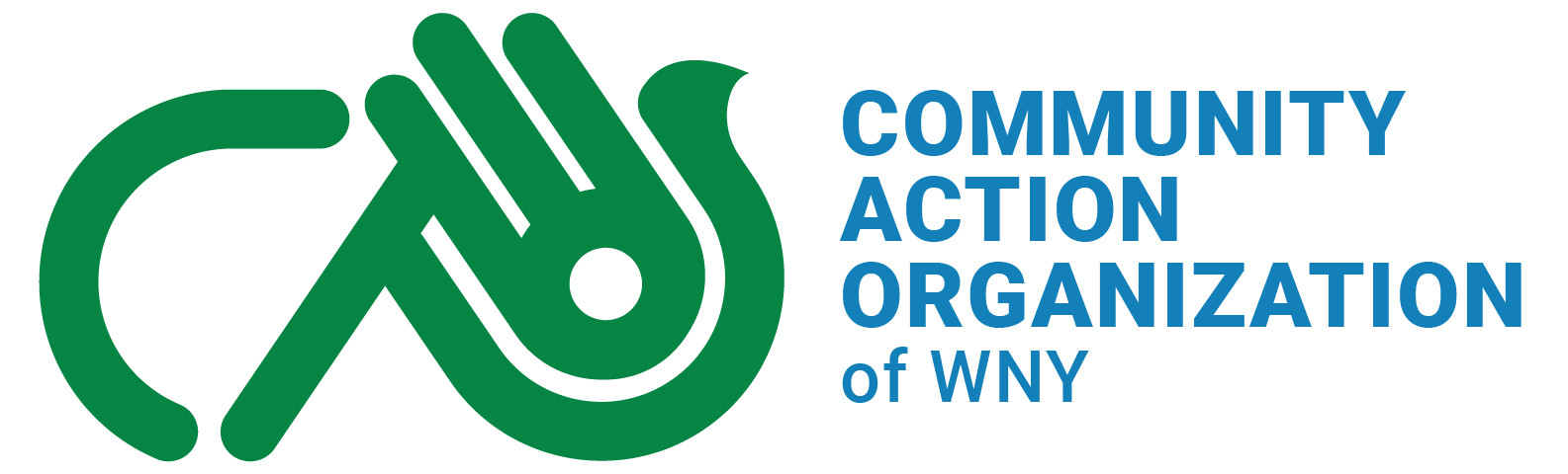 COMMUNITY ACTION ORGANIZATION OF WESTERN NEW YORK INC