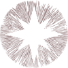 North Spore LLC