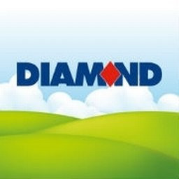 Diamond Bus Company