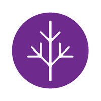 Lymphoma Canada