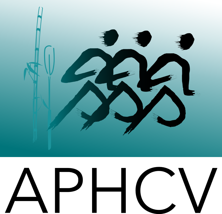 ASIAN PACIFIC HEALTH CARE VENTURE