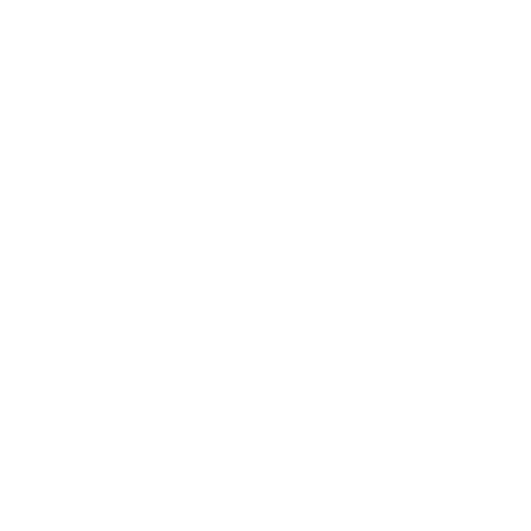 Longevity Partners