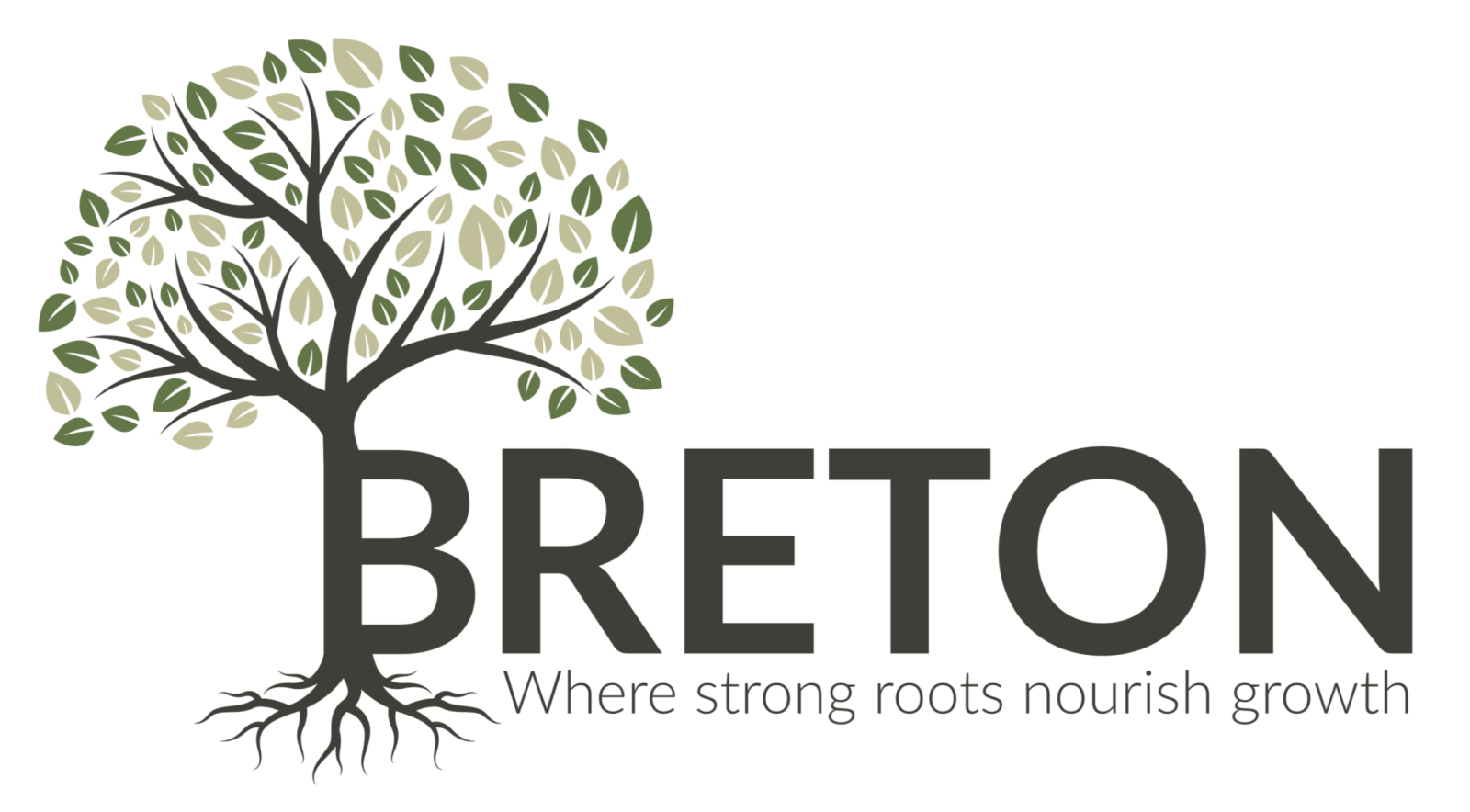 Village of Breton