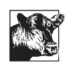 National Beef