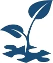 BlueSprig