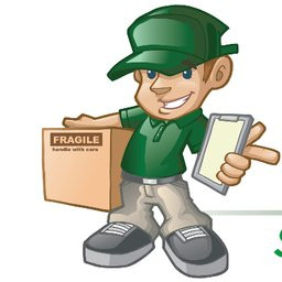 Vital Delivery Solutions