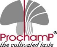 Prochamp