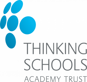 Thinking Schools Academy