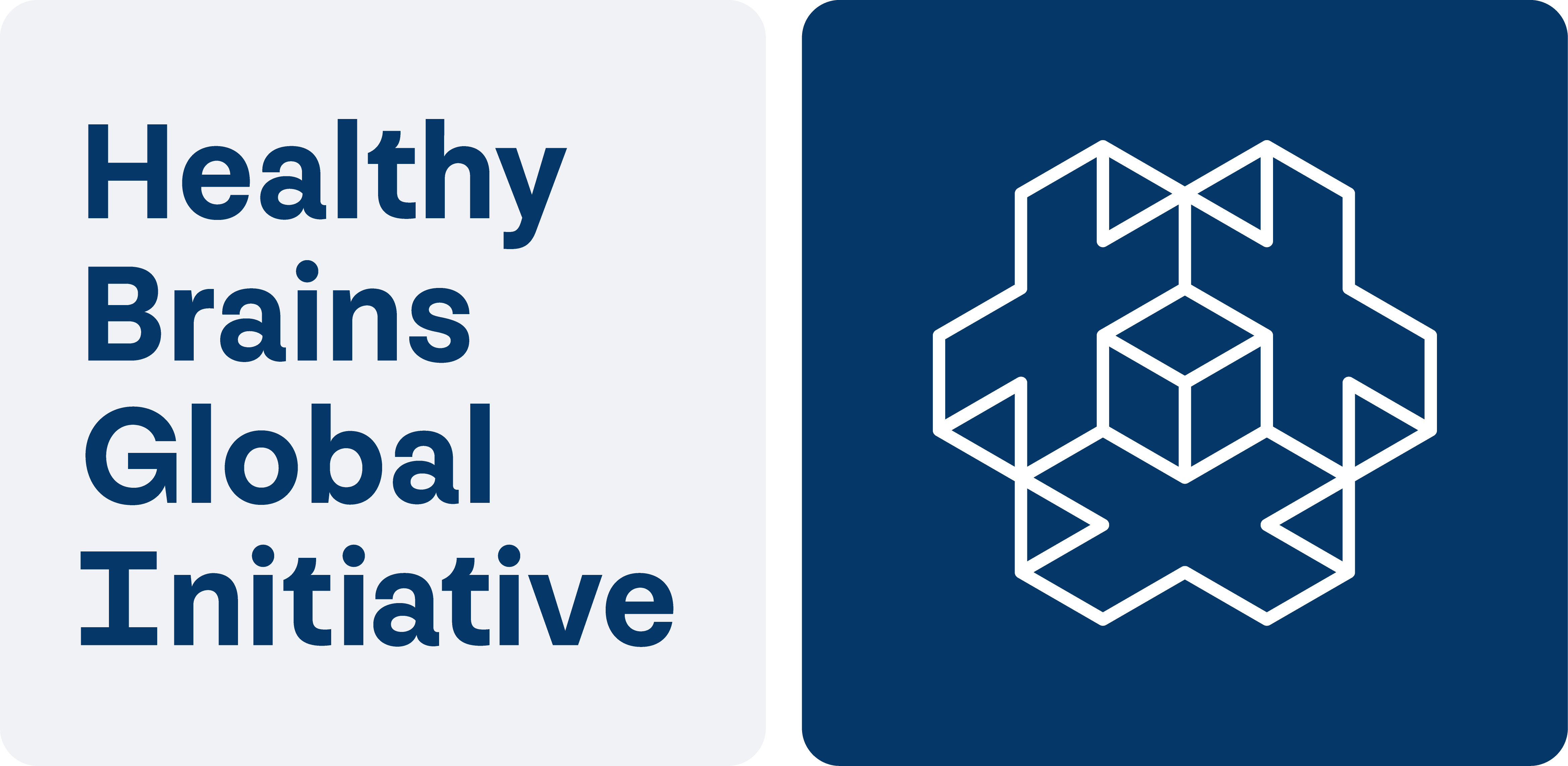 Healthy Brains Global Initiative