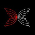 IO Global