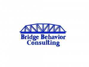 BRIDGE BEHAVIOR CONSULTING