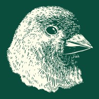 Finch