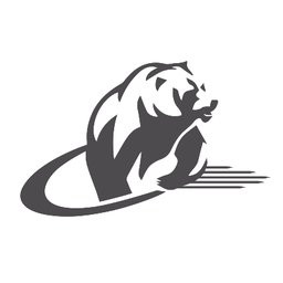 Grizzly Broadband, LLC
