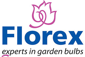 Florex