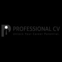 Professional CV Ireland