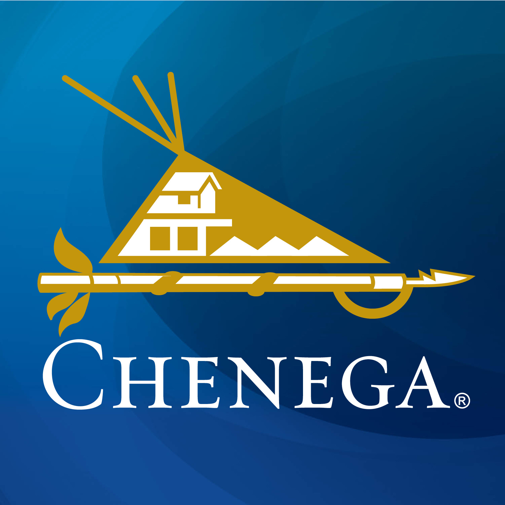 Advanced Chenega Services