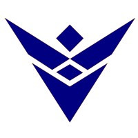 Victory Solutions Global