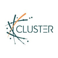 Cluster Consulting