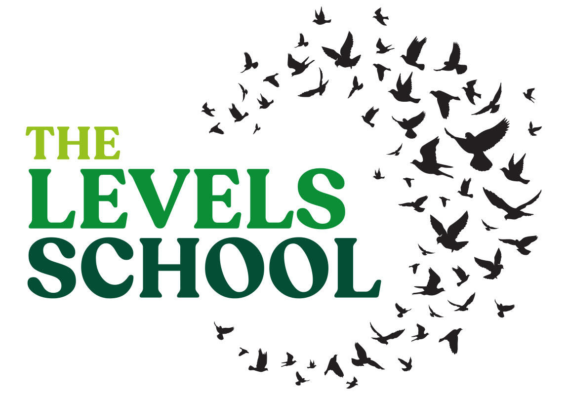 The Levels School image