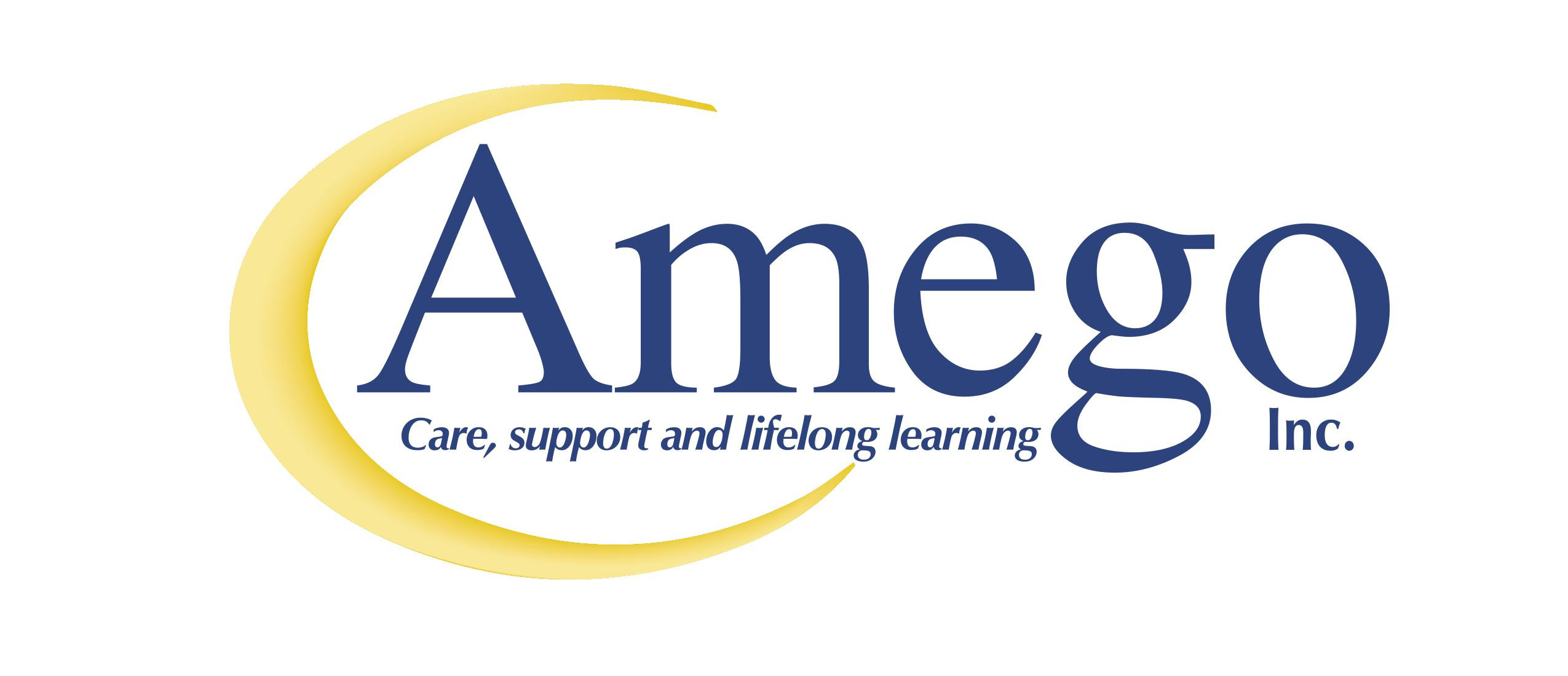 AMEGO INC