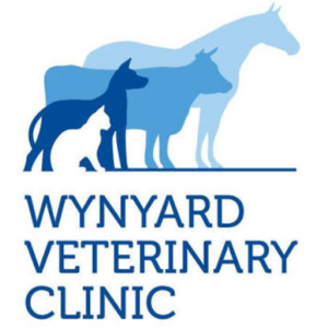Wynyard Veterinary Clinic