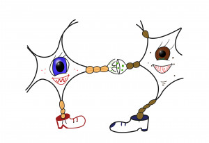 Neuroconnections