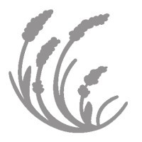 Stanly Ranch, Auberge Collection