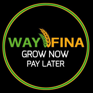 Wayfina Enterprises