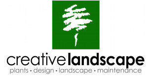 Creative Landscape image