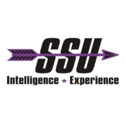 Strategic Solutions Unlimited