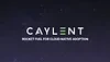 Caylent