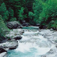 PRINCETON ENVIRONMENTAL GROUP, INC.