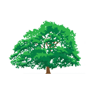 Forest Ridge School District 142