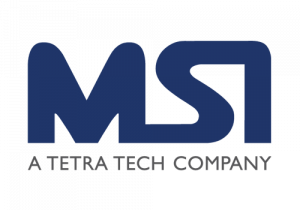 Management Systems International
