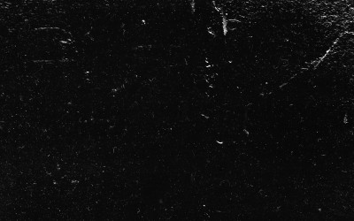 Tami Maynard Maynard